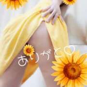 ヒメ日記 2025/07/11 13:22 投稿 みき 甲府人妻城