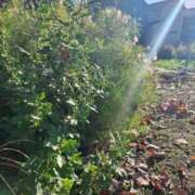 ヒメ日記 2025/11/02 07:57 投稿 みき 甲府人妻城