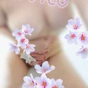 ヒメ日記 2026/02/06 16:43 投稿 みき 甲府人妻城