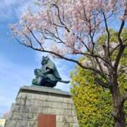 ヒメ日記 2026/03/18 11:22 投稿 みき 甲府人妻城