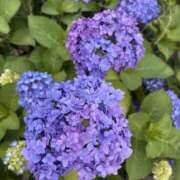 ヒメ日記 2025/06/02 15:32 投稿 亜希 クラブルージュ