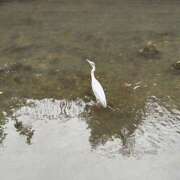 ヒメ日記 2025/07/17 15:03 投稿 亜希 クラブルージュ