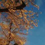 ヒメ日記 2025/06/01 08:31 投稿 のの 激安ドットコム