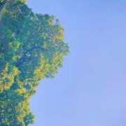 ヒメ日記 2025/06/12 09:45 投稿 のの 激安ドットコム