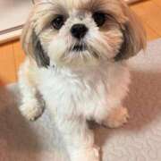 ヒメ日記 2025/07/10 15:13 投稿 のの 激安ドットコム