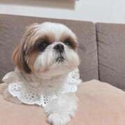 ヒメ日記 2025/09/04 13:45 投稿 のの 激安ドットコム