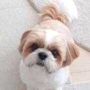 ヒメ日記 2025/10/08 10:00 投稿 のの 激安ドットコム