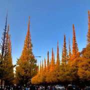 ヒメ日記 2025/10/09 15:14 投稿 のの 激安ドットコム