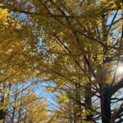 ヒメ日記 2025/11/28 23:14 投稿 のの 激安ドットコム