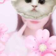 ヒメ日記 2025/06/07 10:08 投稿 れむ sakura