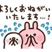 ヒメ日記 2025/07/31 08:22 投稿 れむ sakura