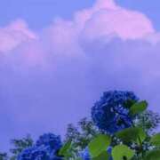 ヒメ日記 2025/08/01 17:52 投稿 れむ sakura