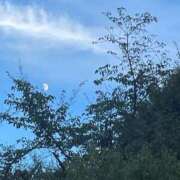 ヒメ日記 2025/09/26 17:22 投稿 れむ sakura