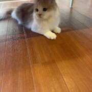 ヒメ日記 2025/10/24 18:52 投稿 れむ sakura