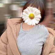 ヒメ日記 2025/11/13 00:18 投稿 今井 ももか 絢(あや)