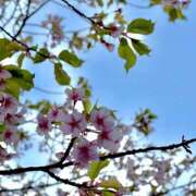 ヒメ日記 2026/05/05 09:49 投稿 今井 ももか 絢(あや)