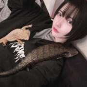 ヒメ日記 2025/10/18 09:54 投稿 かぐや ムーランルージュ