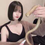 ヒメ日記 2026/04/16 10:35 投稿 かぐや ムーランルージュ