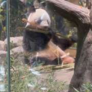 ヒメ日記 2025/09/27 20:12 投稿 まりな★天然H乳ドM変態美少女 Chloe錦糸町店 S級素人清楚系デリヘル