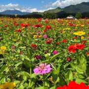 ヒメ日記 2025/05/28 07:38 投稿 平松 西川口デッドボール