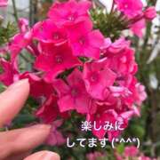 ヒメ日記 2025/06/05 12:55 投稿 平松 西川口デッドボール