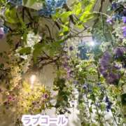 ヒメ日記 2025/06/08 07:48 投稿 平松 西川口デッドボール