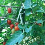 ヒメ日記 2025/06/18 08:02 投稿 平松 西川口デッドボール