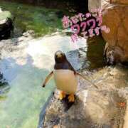 ヒメ日記 2025/06/24 07:48 投稿 平松 西川口デッドボール