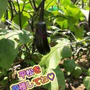 ヒメ日記 2025/06/29 07:48 投稿 平松 西川口デッドボール