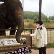 ヒメ日記 2025/07/14 12:31 投稿 平松 西川口デッドボール