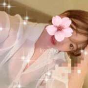 ヒメ日記 2025/06/06 00:24 投稿 ことね 金の玉クラブ池袋～密着睾丸マッサージ～