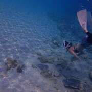 ホタル 早くもGWのお話🤭 月兎（GET）