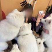 らむ 🎀今月初✨‼️🎀 Versailles