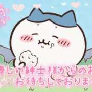 ヒメ日記 2025/10/03 16:21 投稿 らあら 丸妻 新横浜店