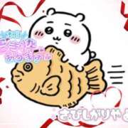 らあら ﾄｺﾄｺ((((((っ*･ω･)っ 丸妻 新横浜店