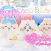 ヒメ日記 2026/01/15 14:39 投稿 らあら 丸妻 新横浜店