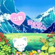 ヒメ日記 2026/09/14 19:05 投稿 らあら 丸妻 新横浜店
