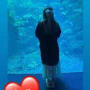 ヒメ日記 2025/11/02 19:17 投稿 なみ 群馬伊勢崎ちゃんこ