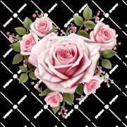 ヒメ日記 2025/08/01 19:56 投稿 森香澄 五十路マダム　広島店