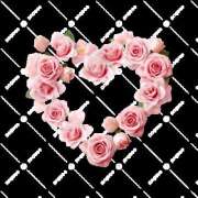 ヒメ日記 2025/08/03 18:28 投稿 森香澄 五十路マダム　広島店