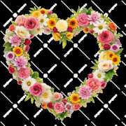 ヒメ日記 2025/10/24 16:44 投稿 森香澄 五十路マダム　広島店