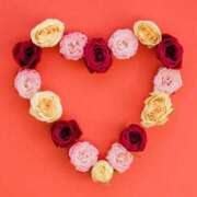 ヒメ日記 2026/03/21 16:40 投稿 森香澄 五十路マダム　広島店