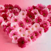 ヒメ日記 2026/03/29 18:56 投稿 森香澄 五十路マダム　広島店