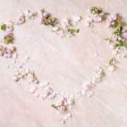 ヒメ日記 2026/04/16 20:02 投稿 森香澄 五十路マダム　広島店