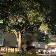 ヒメ日記 2025/12/11 20:30 投稿 きらら 妻天 尼崎店