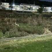 きらら こんにちは‎♡⃛ ̖́- 妻天 尼崎店