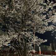 ヒメ日記 2026/04/08 20:32 投稿 きらら 妻天 尼崎店