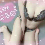 ヒメ日記 2025/06/08 00:01 投稿 リリノ きらめけ！にゃんにゃん学園in大宮