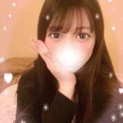 ヒメ日記 2025/06/11 00:00 投稿 リリノ きらめけ！にゃんにゃん学園in大宮