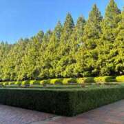 ヒメ日記 2025/08/17 10:16 投稿 蜂楽（ばちら） 丸妻 錦糸町店